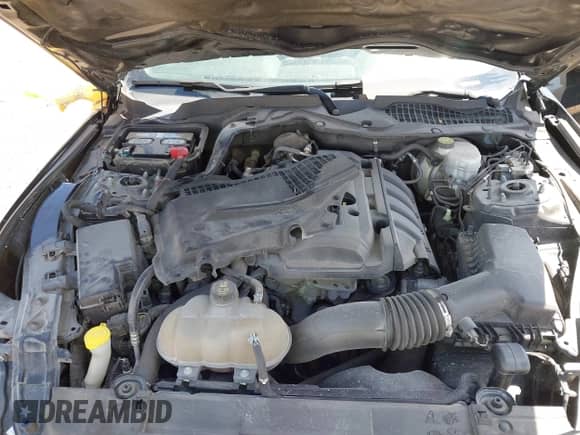 2018 Ford Mustang EcoBoost z VIN 1FA6P8TH6J5172856, wystawiony jako IAAI lot #43242895 z przebiegiem 55 601 mil mil oraz . Historia ofert i sprzedaży dostępna na DreamBid. Obrazek 10.