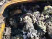 1970 Chevrolet Corvette с VIN 194670S400536, выставлен на аукционе Copart как лот 72133414 с пробегом Не указан миль и На запчасти • Non repairable. История ставок и продаж доступна на DreamBid. Изображение 9.