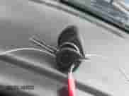 2002 Chevrolet Avalanche with VIN 3GNEK13T92G154479, listed as a IAAI auction lot 43560294 with Not provided miles and . Bid and sale history available at DreamBid. Image 11.