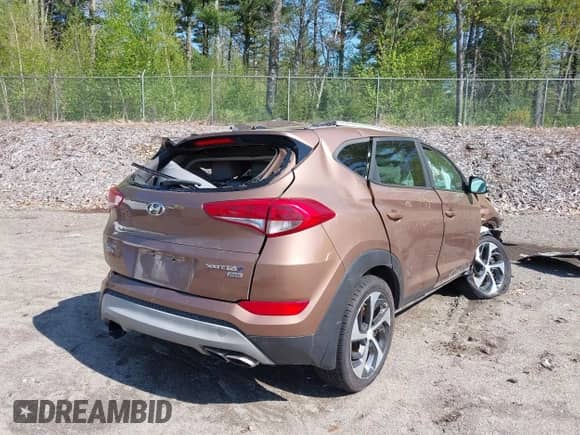 2017 Hyundai Tucson Eco с VIN KM8J3CA24HU406148, выставлен на аукционе IAAI как лот 42216061 с пробегом 109 982 миль миль и . История ставок и продаж доступна на DreamBid. Изображение 4.