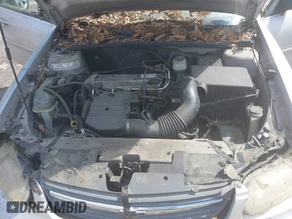 2004 Chevrolet Malibu Classic z VIN 1G1ND52F24M632174, wystawiony jako IAAI lot #42219900 z przebiegiem 250 912 mil mil oraz . Historia ofert i sprzedaży dostępna na DreamBid. Obrazek 10.