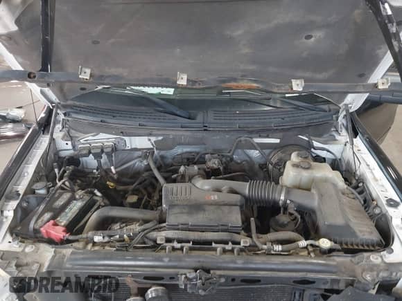 2009 Ford F-150 XL with VIN 1FTRF14WX9KB87999, listed as a IAAI auction lot 42423248 with 95,173 mi miles and . Bid and sale history available at DreamBid. Image 10.