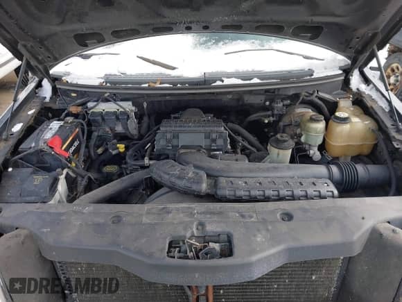 2006 Ford F-150 XLT with VIN 1FTPX02586KA80969, listed as a IAAI auction lot 41271710 with 147,892 mi miles and . Bid and sale history available at DreamBid. Image 10.