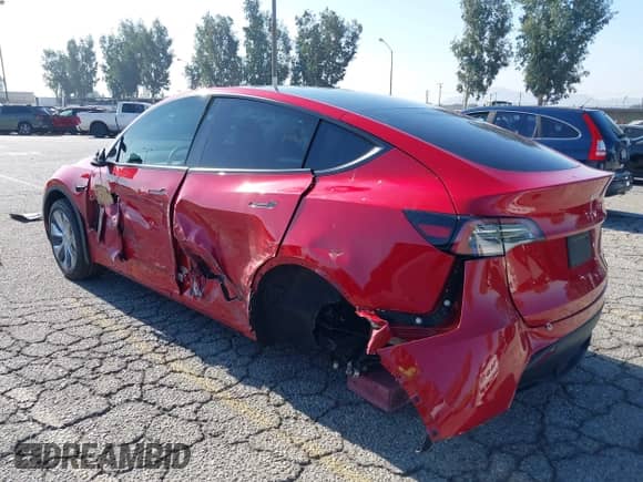 2023 Tesla Model Y Long Range с VIN 7SAYGDEE2PA203915, выставлен на аукционе IAAI как лот 42858922 с пробегом 14 429 миль миль и . История ставок и продаж доступна на DreamBid. Изображение 3.