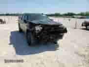 2024 Chevrolet Silverado 1500 LT Trail Boss z VIN 3GCUDFEL7RG147887, wystawiony jako Copart lot #53016005 z przebiegiem 17 938 mil mil oraz Szkoda całkowita • Salvage title. Historia ofert i sprzedaży dostępna na DreamBid. Obrazek 11.