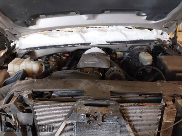 2006 Chevrolet Silverado 1500 LS с VIN 1GCEC19V46Z180282, выставлен на аукционе IAAI как лот 41612230 с пробегом 180 898 миль миль и . История ставок и продаж доступна на DreamBid. Изображение 10.