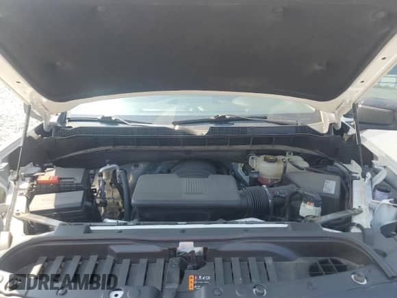 2020 Chevrolet Silverado 1500 LT Trail Boss with VIN 1GCPYFEDXLZ288860, listed as a Copart auction lot 81225455 with 138,945 mi miles and Salvage title. Bid and sale history available at DreamBid. Image 11.