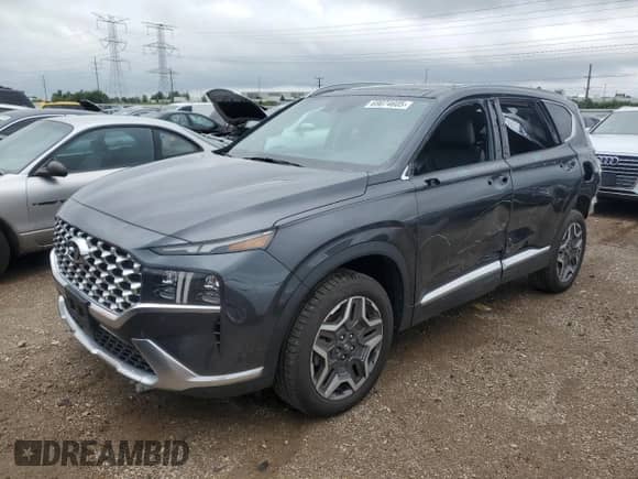 2021 Hyundai Santa Fe Limited with VIN 5NMS4DALXMH351694, listed as a Copart auction lot 69074605 with 57,905 mi miles and Salvage title. Bid and sale history available at DreamBid. Image 1.