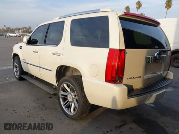 2009 Cadillac Escalade with VIN 1GYFC23229R273227, listed as a IAAI auction lot 41071598 with 132,263 mi miles and . Bid and sale history available at DreamBid. Image 3.