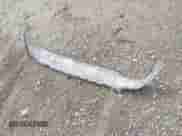 2020 Hyundai Santa Fe SEL с VIN 5NMS3CAA2LH271137, выставлен на аукционе IAAI как лот 42265244 с пробегом 39 874 миль миль и . История ставок и продаж доступна на DreamBid. Изображение 12.