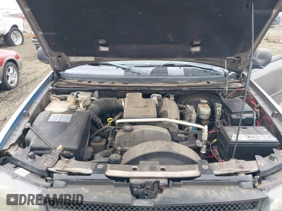 2006 Chevrolet TrailBlazer LS z VIN 1GNET16SX66171007, wystawiony jako IAAI lot #43469858 z przebiegiem 214 423 mil mil oraz . Historia ofert i sprzedaży dostępna na DreamBid. Obrazek 10.