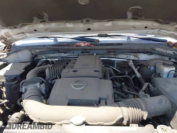 2007 Nissan Frontier SE with VIN 1N6AD07U47C443050, listed as a IAAI auction lot 42096218 with 203,252 mi miles and . Bid and sale history available at DreamBid. Image 10.