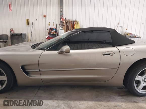 1999 Chevrolet Corvette with VIN 1G1YY32G2X5126065, listed as a IAAI auction lot 42899174 with 29,499 mi miles and . Bid and sale history available at DreamBid. Image 15.