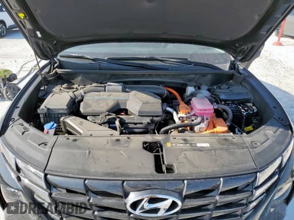 2024 Hyundai Tucson Blue с VIN KM8JBCD12RU211981, выставлен на аукционе Copart как лот 67966165 с пробегом 11 427 миль миль и Чистый • Clean title. История ставок и продаж доступна на DreamBid. Изображение 12.