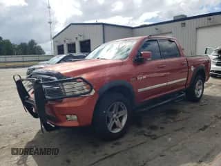 2009 Dodge 1500 SLT with VIN 1D3HV13T09S781739, listed as a Copart auction lot 85117765 with 307,111 mi miles and Salvage title. Bid and sale history available at DreamBid. Image 1.