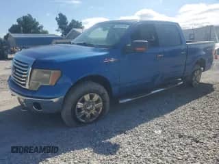 2010 Ford F-150 XL z VIN 1FTEW1E88AKB33846, wystawiony jako Copart lot #82345195 z przebiegiem 276 358 mil mil oraz Szkoda całkowita • Salvage title. Historia ofert i sprzedaży dostępna na DreamBid. Obrazek 1.