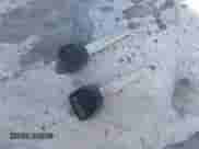 1991 Honda Accord LX z VIN JHMCB7656MC028293, wystawiony jako IAAI lot #41992201 z przebiegiem 191 514 mil mil oraz . Historia ofert i sprzedaży dostępna na DreamBid. Obrazek 11.