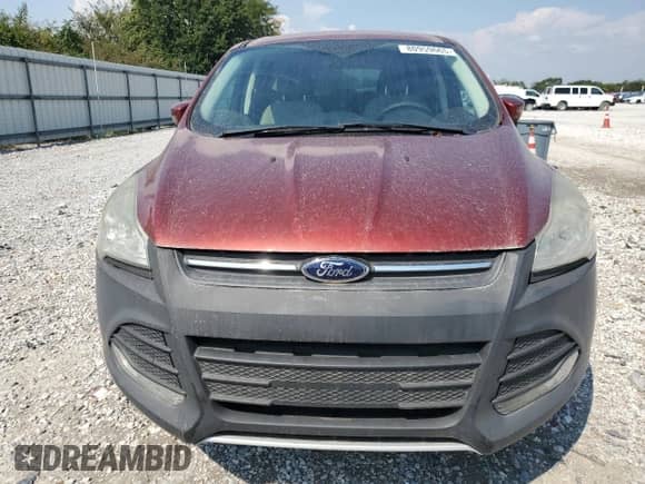 2014 Ford Escape SE with VIN 1FMCU0GX0EUC09514, listed as a Copart auction lot 80959665 with 146,633 mi miles and Clean title. Bid and sale history available at DreamBid. Image 5.