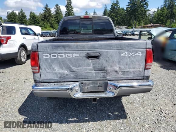 2002 Dodge Dakota SLT with VIN 1B7HG48N02S548464, listed as a Copart auction lot 58943135 with 239,081 mi miles and Salvage title. Bid and sale history available at DreamBid. Image 6.