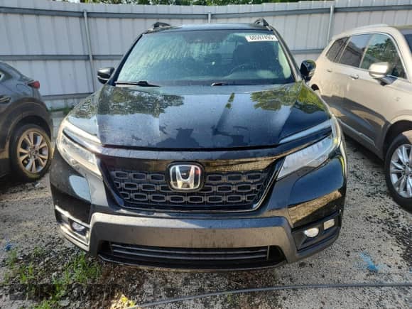 2019 Honda Passport Elite с VIN 5FNYF8H04KB012273, выставлен на аукционе Copart как лот 68597495 с пробегом 123 068 миль миль и Чистый • Clean title. История ставок и продаж доступна на DreamBid. Изображение 5.