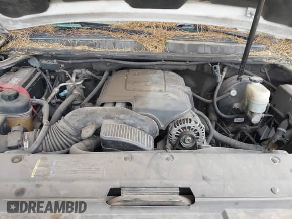 2009 Chevrolet Avalanche LTZ z VIN 3GNEC12009G115326, wystawiony jako IAAI lot #42219277 z przebiegiem 265 199 mil mil oraz . Historia ofert i sprzedaży dostępna na DreamBid. Obrazek 10.