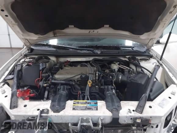 2009 Chevrolet Impala Police Police with VIN 2G1WS57M491315291, listed as a IAAI auction lot 41877060 with 184,460 mi miles and . Bid and sale history available at DreamBid. Image 10.