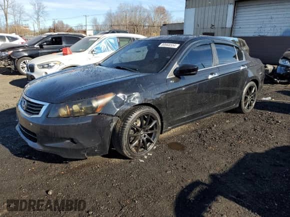 2009 Honda Accord EX-L with VIN 5KBCP36859B501067, listed as a Copart auction lot 80668554 with 159,910 mi miles and Salvage title. Bid and sale history available at DreamBid. Image 1.