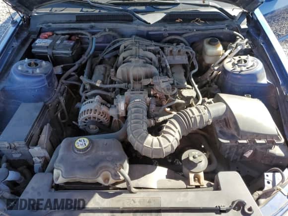 2007 Ford Mustang Deluxe with VIN 1ZVFT80N475369045, listed as a Copart auction lot 86555495 with 175,141 mi miles and Salvage title. Bid and sale history available at DreamBid. Image 11.