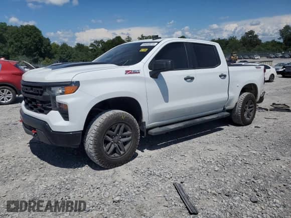 2022 Chevrolet Silverado 1500 Custom Trail Boss с VIN 3GCPDCEK7NG566156, выставлен на аукционе Copart как лот 64848815 с пробегом 74 084 миль миль и Списание • Salvage title. История ставок и продаж доступна на DreamBid. Изображение 1.