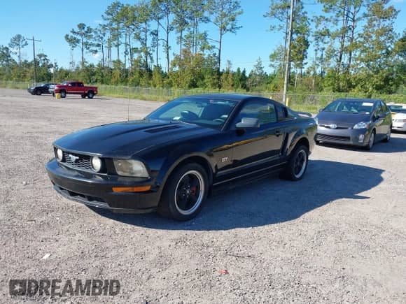 2007 Ford Mustang GT Deluxe с VIN 1ZVFT82H175320750, выставлен на аукционе IAAI как лот 43484852 с пробегом 104 474 миль миль и . История ставок и продаж доступна на DreamBid. Изображение 17.