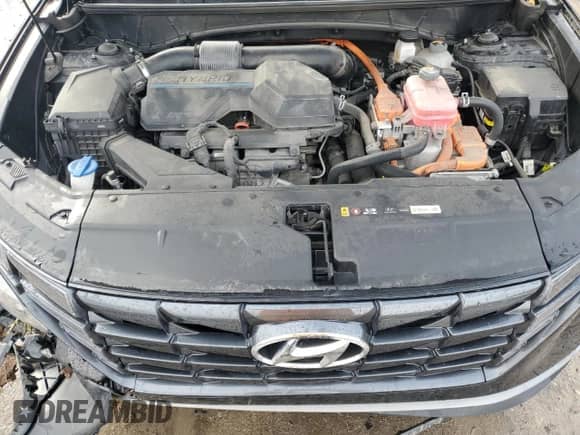 2022 Hyundai Tucson Blue with VIN KM8JBCA10NU027122, listed as a Copart auction lot 87163004 with 69,076 mi miles and Salvage title. Bid and sale history available at DreamBid. Image 13.