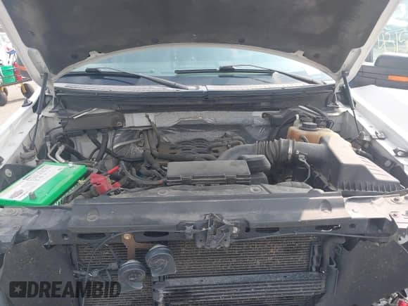 2011 Ford F-150 XL с VIN 1FTFW1EF3BFB31127, выставлен на аукционе IAAI как лот 43150417 с пробегом 251 619 миль миль и . История ставок и продаж доступна на DreamBid. Изображение 10.