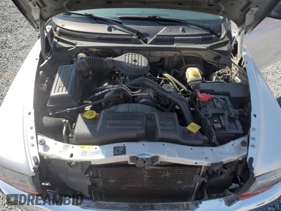 2001 Dodge Dakota Sport with VIN 1B7GL2AX01S126636, listed as a Copart auction lot 48332505 with 175,866 mi miles and Salvage title. Bid and sale history available at DreamBid. Image 11.