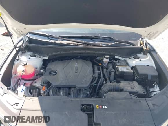 2022 Hyundai Tucson SEL с VIN 5NMJF3AE4NH080621, выставлен на аукционе IAAI как лот 43144440 с пробегом 39 674 миль миль и . История ставок и продаж доступна на DreamBid. Изображение 10.