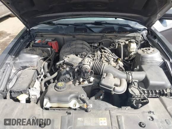 2014 Ford Mustang Premium с VIN 1ZVBP8AM7E5251643, выставлен на аукционе IAAI как лот 43345706 с пробегом 143 122 миль миль и . История ставок и продаж доступна на DreamBid. Изображение 10.