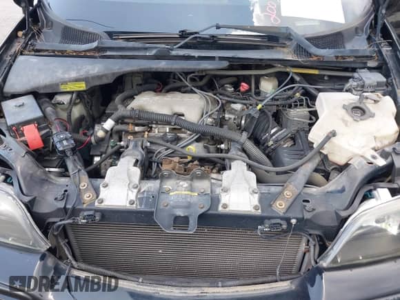 2003 Chevrolet Venture Warner Bros 1SE с VIN 1GNDX13E73D323363, выставлен на аукционе IAAI как лот 42537624 с пробегом 125 934 миль миль и . История ставок и продаж доступна на DreamBid. Изображение 10.