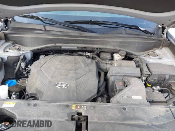 2022 Hyundai Palisade Calligraphy с VIN KM8R7DHE9NU435346, выставлен на аукционе IAAI как лот 42876329 с пробегом 97 268 миль миль и . История ставок и продаж доступна на DreamBid. Изображение 10.