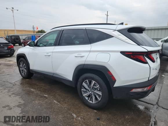 2024 Hyundai Tucson Blue с VIN KM8JBCD17RU233099, выставлен на аукционе Copart как лот 70289065 с пробегом 8 895 миль миль и Списание • Salvage title. История ставок и продаж доступна на DreamBid. Изображение 2.