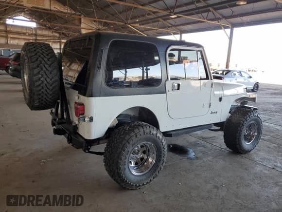 1989 Jeep Wrangler with VIN 2J4FY29T8KJ168644, listed as a Copart auction lot 66119895 with 142,476 mi miles and Salvage title. Bid and sale history available at DreamBid. Image 3.