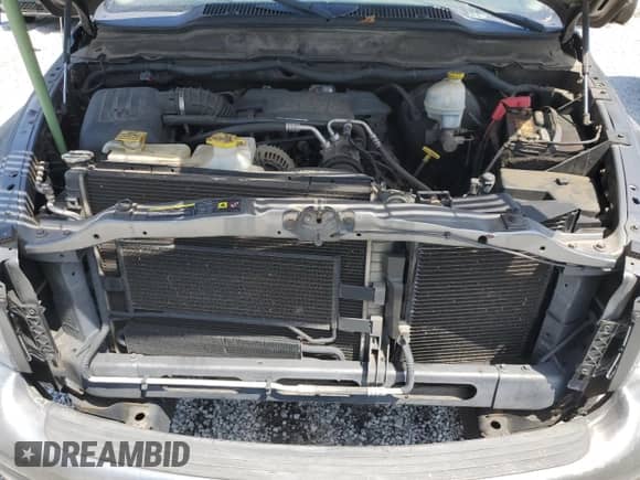 2005 Dodge 1500 SLT с VIN 1D7HU18D25S254850, выставлен на аукционе Copart как лот 80277455 с пробегом 159 337 миль миль и Списание • Salvage title. История ставок и продаж доступна на DreamBid. Изображение 11.