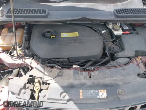 2014 Ford Escape SE with VIN 1FMCU0GX5EUC16474, listed as a IAAI auction lot 40276119 with 112,714 mi miles and . Bid and sale history available at DreamBid. Image 10.