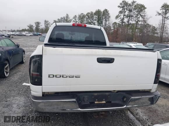 2002 Dodge RAM with VIN 3D3HA18N02G198817, listed as a IAAI auction lot 41554103 with 209,767 mi miles and . Bid and sale history available at DreamBid. Image 17.