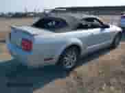 2006 Ford Mustang Standard with VIN 1ZVFT84N465102562, listed as a IAAI auction lot 42453410 with 142,098 mi miles and . Bid and sale history available at DreamBid. Image 4.