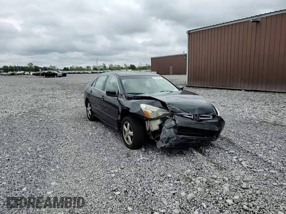 2005 Honda Accord EX-L with VIN 1HGCM56825A166731, listed as a Copart auction lot 81778245 with Not provided miles and Salvage title. Bid and sale history available at DreamBid. Image 13.