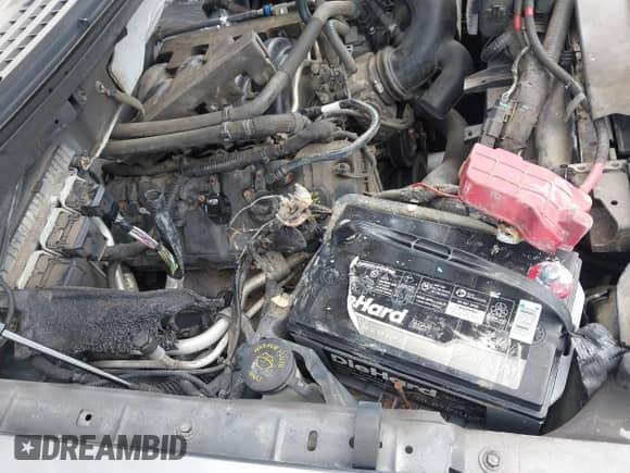 2011 Ford F-150 XL with VIN 1FTFX1EF6BFC31087, listed as a IAAI auction lot 43192059 with Not provided miles and . Bid and sale history available at DreamBid. Image 6.