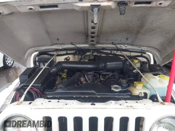 1999 Jeep Wrangler SE with VIN 1J4FY29P2XP461923, listed as a IAAI auction lot 43591392 with 198,022 mi miles and . Bid and sale history available at DreamBid. Image 10.