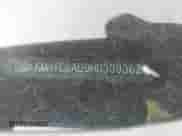 2017 Hyundai Veloster Value Edition z VIN KMHTC6AD9HU309362, wystawiony jako IAAI lot #43008981 z przebiegiem 157 915 mil mil oraz . Historia ofert i sprzedaży dostępna na DreamBid. Obrazek 9.