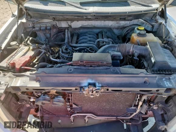 2014 Ford F-150 XL с VIN 1FTNF1CF3EKD20905, выставлен на аукционе Copart как лот 85947635 с пробегом 301 127 миль миль и Списание • Salvage title. История ставок и продаж доступна на DreamBid. Изображение 11.