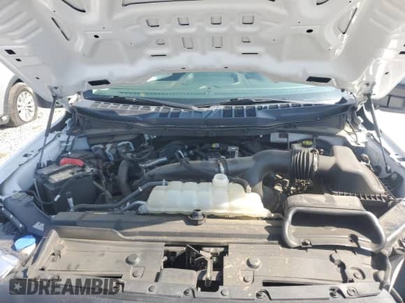 2021 Ford F-150 XL z VIN 1FTEX1EP2MKE07812, wystawiony jako Copart lot #63468535 z przebiegiem 130 653 mil mil oraz Szkoda całkowita • Salvage title. Historia ofert i sprzedaży dostępna na DreamBid. Obrazek 11.