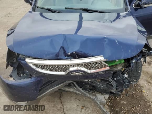 2008 Hyundai Veracruz GLS z VIN KM8NU13C68U036054, wystawiony jako Copart lot #79073034 z przebiegiem Nie podano mil oraz Szkoda całkowita • Salvage title. Historia ofert i sprzedaży dostępna na DreamBid. Obrazek 14.